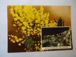 FRANCE    POSTCARDS  NICE FLOWERS - Other & Unclassified
