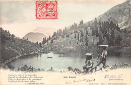 Suisse - Lac Lioson (VD) Vue Générale - Ed. T. Pfaff - Other & Unclassified