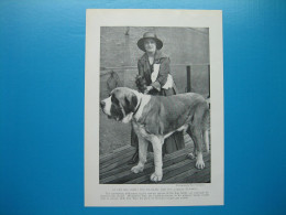 (1919) Le Plus Grand Chien Et Le Plus Petit Chien : Un Saint-Bernard Et Un Yorkshire - Zonder Classificatie