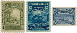 722296 HINGED CANADA. Terranova 1897 SERIE BASICA - Sonstige & Ohne Zuordnung