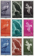 31818 MNH SAHARA ESPAÑOL 1959 AVES - Sahara Español