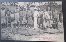 Congo  Capture Inouie D'un Caiman Chasse  Cpa Maison Marcel - Autres & Non Classés