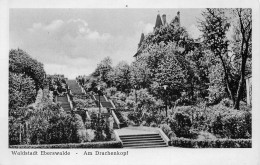 Eberswalde Am Drachenkopf Ngl #168.166 - Autres & Non Classés