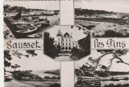 CPSM 13  SAUSSET LES PINS SOUVENIR MULTIVUES - Other & Unclassified