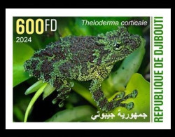 DJIBOUTI 2024 STAMP 1V IMPERF 600F - CAMOUFLAGE - FROG FROGS GRENOUILLE GRENOUILLES AMPHIBIANS AMPHIBIENS - MNH - Ranas