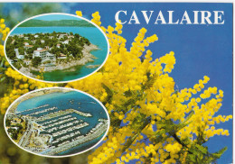 Souvenir De Cavalaire - Cavalaire-sur-Mer