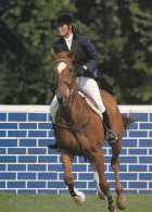 Horse - Cheval - Paard - Pferd - Cavallo - Cavalo - Caballo - Finnish Rider Kati Hurme - Pferde