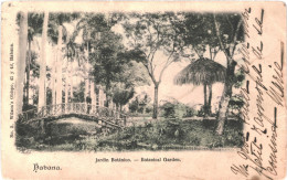 CPA Carte Postale Cuba Habana Jardin Botanico  VM80838 - Otros & Sin Clasificación