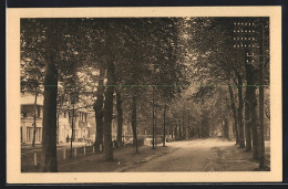 AK Bussum, Oprijlaan In Het Bosch Van Bredius  - Bussum