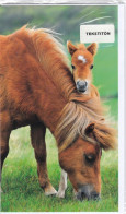 Horse - Cheval - Paard - Pferd - Cavallo - Cavalo - Caballo - Häst - Karto - Double Card - In An Original Plastic Sleeve - Horses