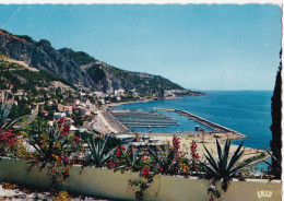 Menton - Le Nouveau Port - Menton