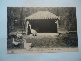 FRANCE  POSTCARDS LYON PARC DE LA TELE D'OR  BIRDS PELECAN  SWAN - Other & Unclassified