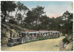 CPSM CAP FERRET - Le Petit Train Forestier - Ed. L. Chatagneau N°10781 - Autres & Non Classés