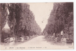 Arles - Les Alyscamps - L'Allée Des Tombeaux - Arles