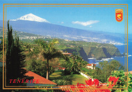 ESPAGNE - Tenerife - Vue Panoramique - Colorisé - Carte Postale - Tenerife