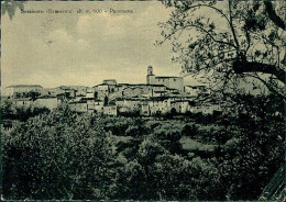 SASSINORO ( BENEVENTO ) PANORAMA - EDIZIONE CUSANO - SPEDITA 1957 (20650) - Benevento