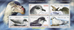 223110 MNH ANTARTIDA FRANCESA 2009 AVE - Unused Stamps