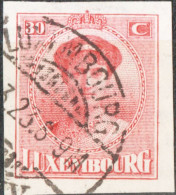Luxemburg 1922 30 C Imperforated Charlotte Stamp Cancelled Exhibition Issue - Exposiciones Filatélicas