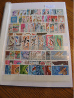 COTE DES SOMALIS - PAYS COMPLET ( SAUF PO 318 ) - TIMBRES NEUFS** LUXE - MNH - COTE 644,50 EUROS - Unused Stamps