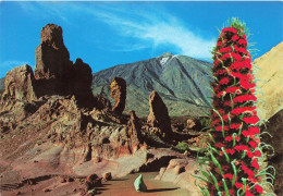 ESPAGNE - Teide - Le Pic Vu Des Roques - Carte Postale - Tenerife