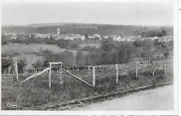 MONTHUREUX  SUR SAONE   - ( 88 ) -  Vue Générale  ( C. P. S. M- Pt -Ft ) - Monthureux Sur Saone