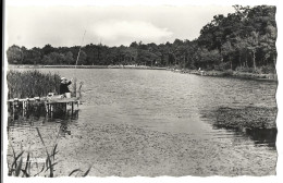 88 Contrexeville - L'etang De La Folie - Contrexeville