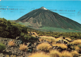 ESPAGNE - Tenerife - Las Canadas De Teide - El Parador - Carte Postale - Tenerife