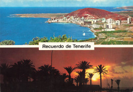 ESPAGNE - Tenerife - Vue De Los Cristianos - Carte Postale - Tenerife