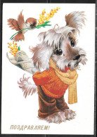 1981 Russia Greeting Post Card, Dog, Unused. - Chiens