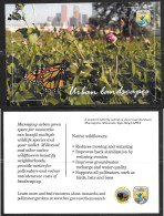U.S. Fish & Wildlife Service, Urban Landscape, Butterfly - Schmetterlinge