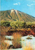 ESPAGNE - Tenerife - Mont Teide - Carte Postale - Tenerife