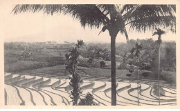 AHDP12-028- INDONESIE JAVA CARTE PHOTO - Indonésie