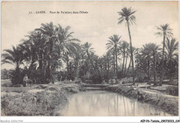 AEPP6-TUNISIE-0524 - GABES - PONT DE PALMIERS DANS L'OASIS - Tunisie