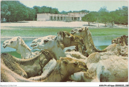 AHNP4-0445 - AFRIQUE - Une Vue De L'hôtel De Tombouctou - Mali - Malí