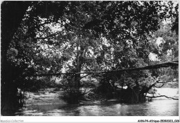 AHNP4-0404 - AFRIQUE - Le Pont De Lianes Sur Le Djoné - Brazzaville