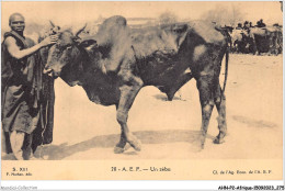 AHNP2-0265 - AFRIQUE - A.E.F - Un Zebu - Unclassified