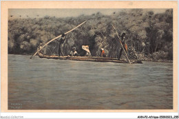 AHNP2-0255 - AFRIQUE - TCHAD - Daris Les Papyrus Du Lac Tchad - Tchad