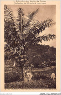 AHNP2-0252 - AFRIQUE - Un Palmier De Corozo Avec Ses Régimes De Noix  - Unclassified