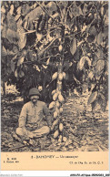 AHNP2-0222 - AFRIQUE - DAHOMEY - Un Cacaoyer  - Dahomey