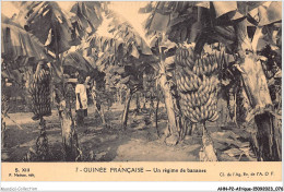 AHNP2-0166 - AFRIQUE - GUINEE FRANCAISE - Un Régime De Bananes  - Guinée Française