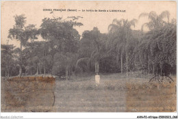 AHNP2-0162 - AFRIQUE -  GABON - CONGO FRANCAIS - Le Jardin De Kérélé à Libreville  - French Congo