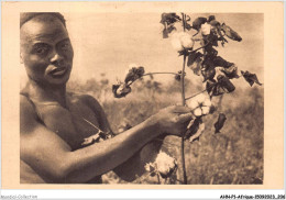 AHNP1-0103 - AFRIQUE - TCHAD - La Cueillette Du Cotton  - Tchad