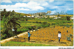 AHZP10-ASIE-0926 - CHINE HONG KONG GARDEN SCENE AT DA LAT IN THE HIGH COUNTRY - Cina (Hong Kong)