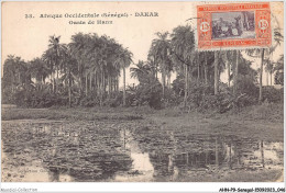 AHNP9-0989 - AFRIQUE - SENEGAL - DAKAR - Oasis De Hann  - Sénégal