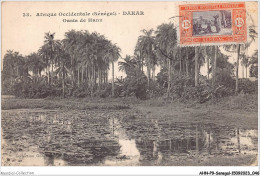 AHNP9-0989 - AFRIQUE - SENEGAL - DAKAR - Oasis De Hann  - Senegal