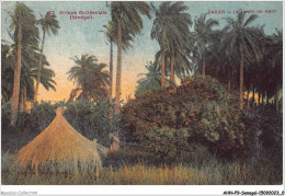 AHNP9-0966 - AFRIQUE - SENEGAL - DAKAR - Le Jardin Des Hann  - Senegal