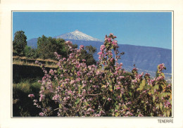 ESPAGNE - Tenerife - El Teide - Carte Postale - Tenerife