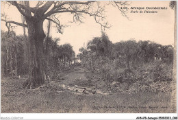 AHNP8-0901 - AFRIQUE - SENEGAL - Fôret De Palmiers  - Sénégal