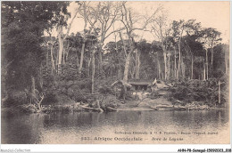 AHNP8-0867 - AFRIQUE - SENEGAL - Bord De Lagune  - Sénégal