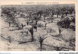 AHNP7-0774 - AFRIQUE - DJIBOUTI - Une Plantation De Dattiers - Djibouti